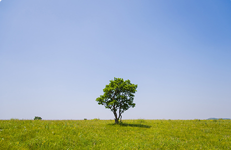完善制度，规范流程，严格履行信息披露义务