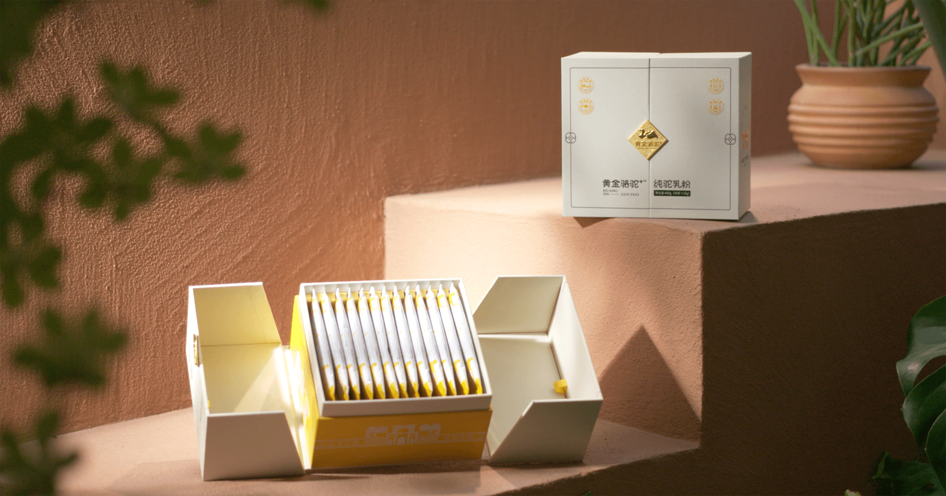 定位小众高端乳粉，J9国际站登录推出驼奶品牌“黄金骆驼+”，角逐乳品新市场！